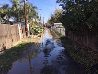 Flooding in Nadine Alley