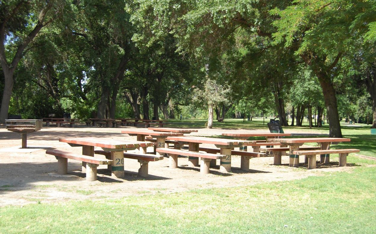 Color photo of Mary Grogan Grove Picnic Area A, benches and open green space.