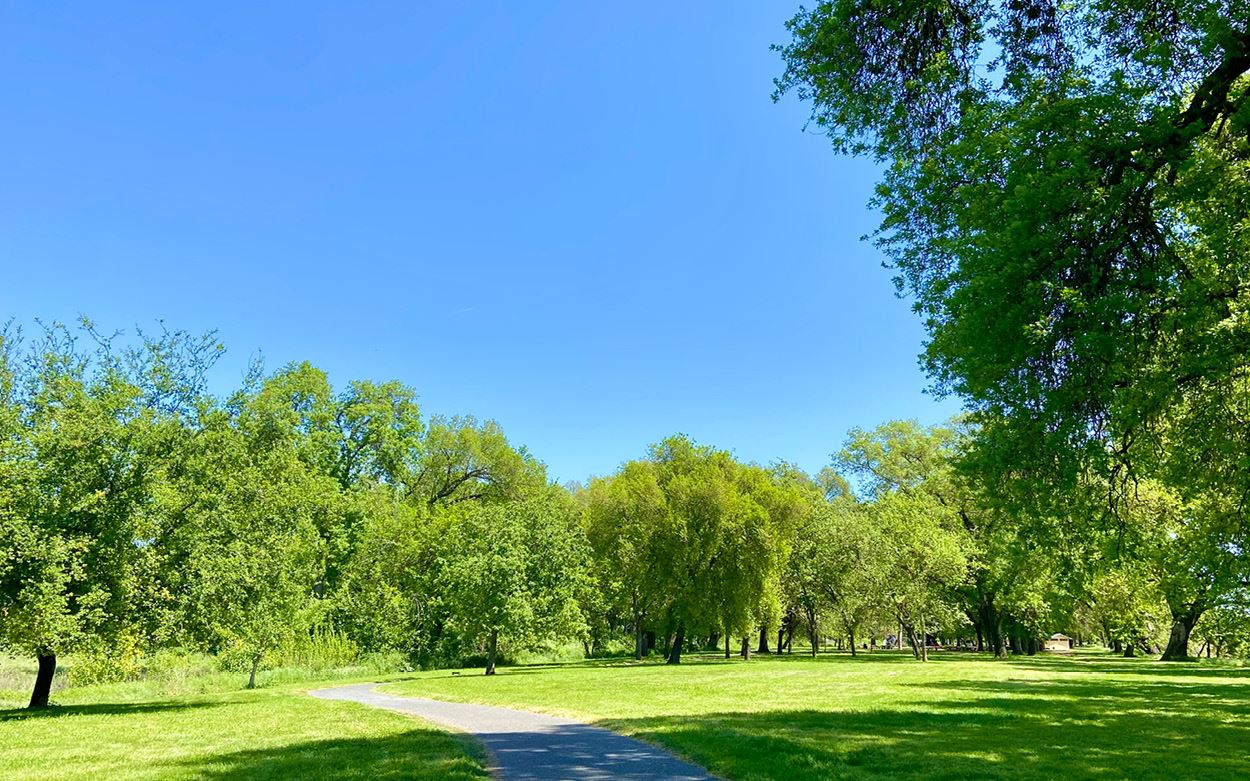 Color photo of Open green space with trail. 