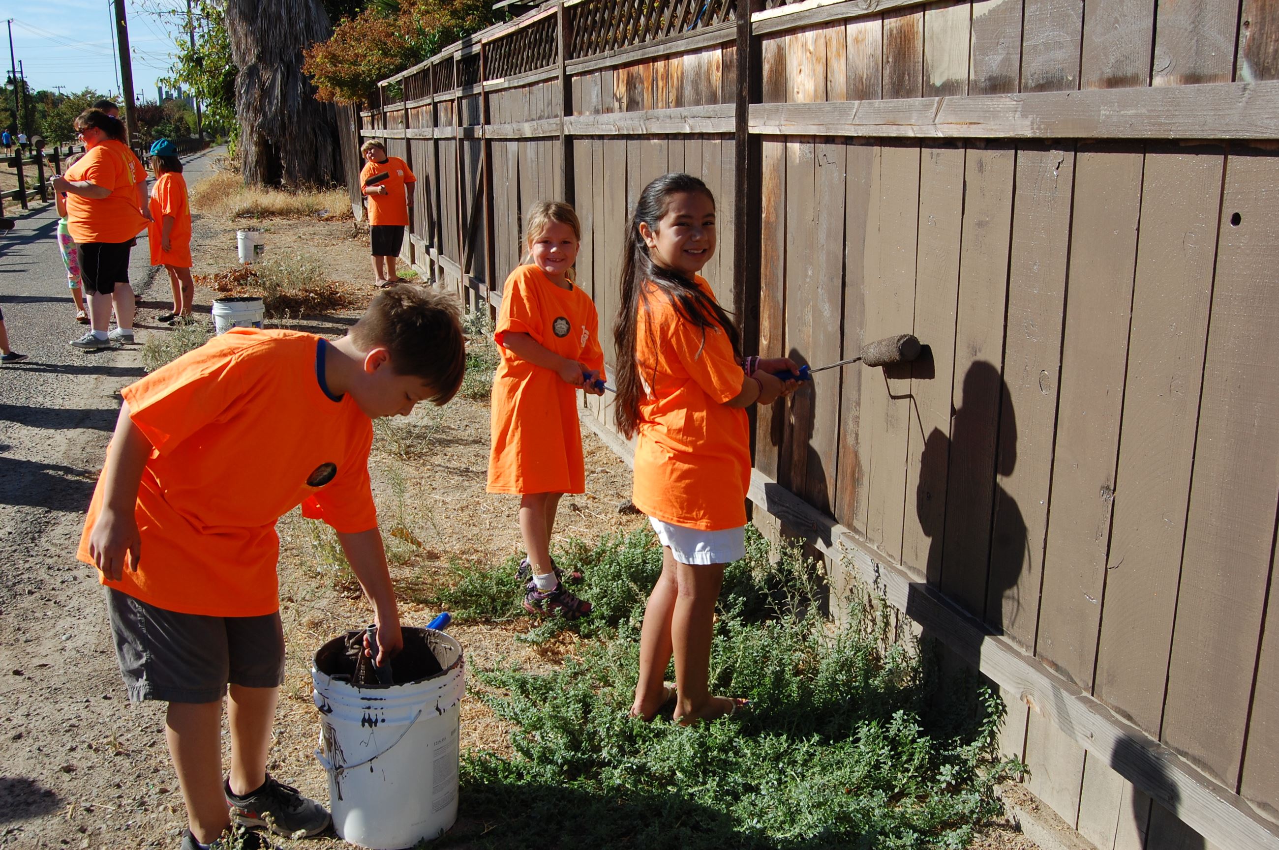 Tagging Abatement Program