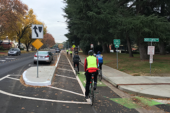 Image of man riding bike in the bike lane