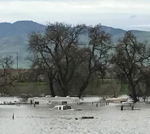 Image of flooded park